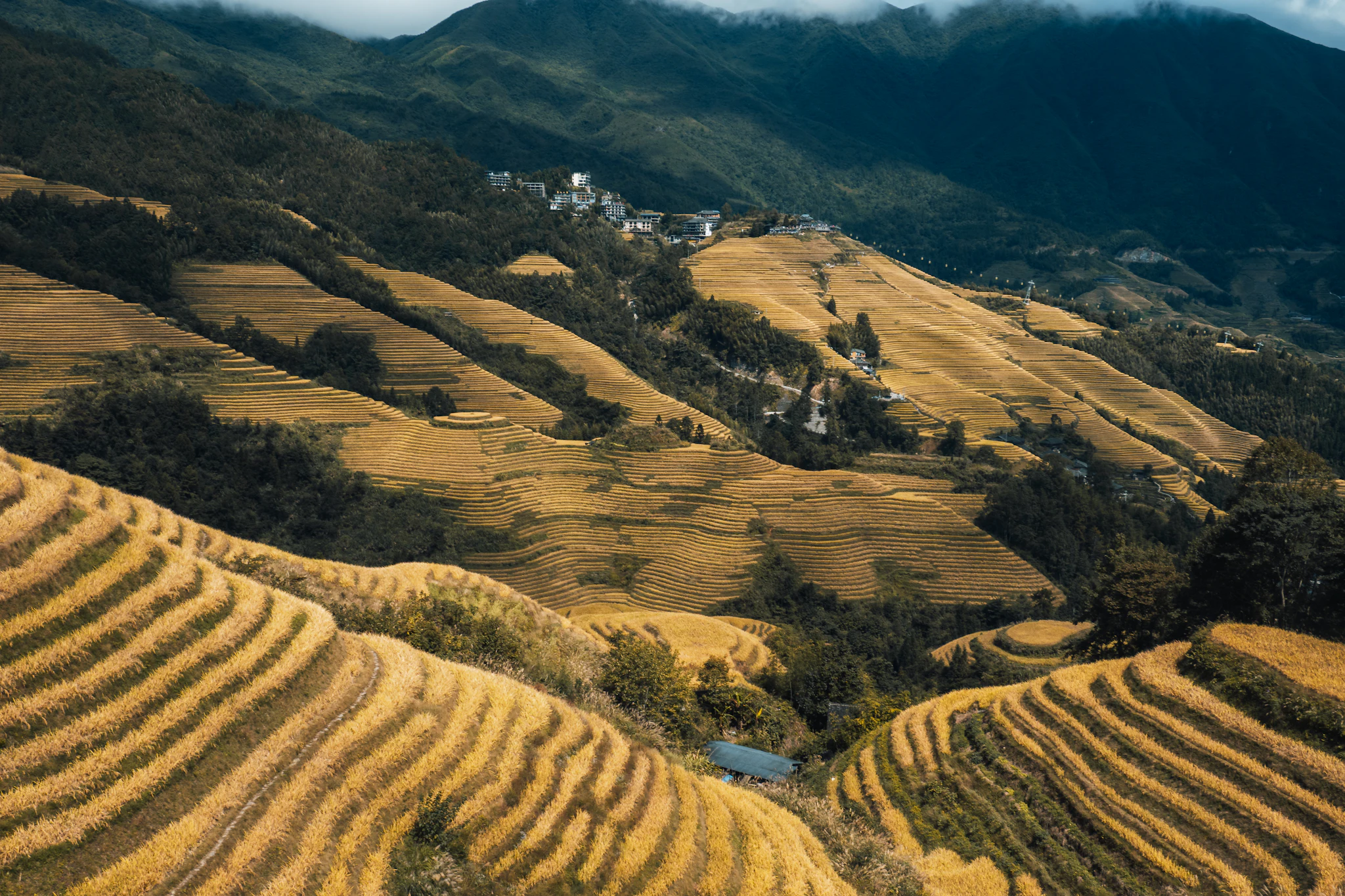 Longji Rice Terraces